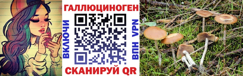 Псилоцибиновые грибы ЛСД  Купить  Судак 